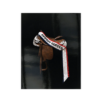 BEYONCE COWBOY CARTER TOUR BOOK