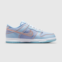 Nike Dunk Low Union Passport Pack Argon