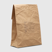 Nike SB Dunk Low Albino & Preto