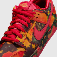 Nike SB Dunk Low The Wizard of Oz Poppy Field