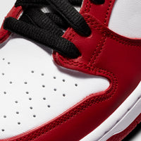 Nike SB Dunk Low Pro J-Pack Chicago